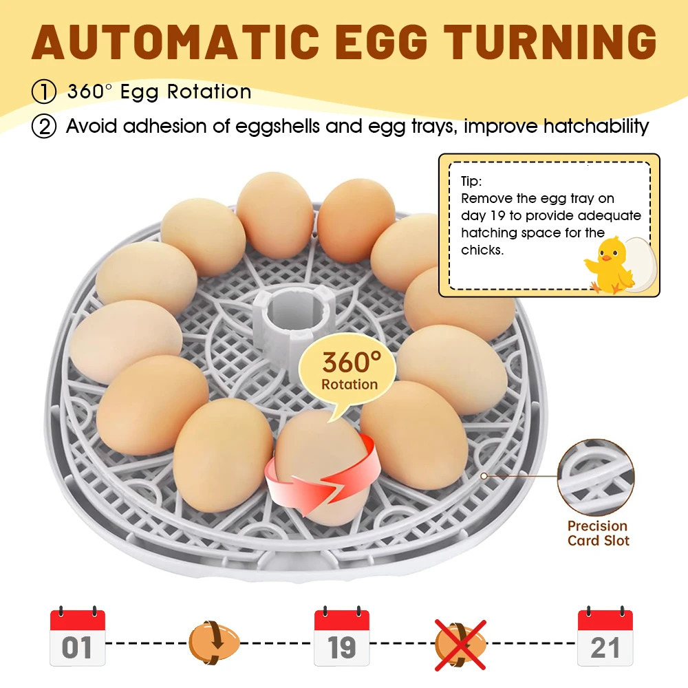Household Small Chicken Duck Goose Egg Incubator Automatically Add Water Intelligent Temperature Control 12 Incubators 250624