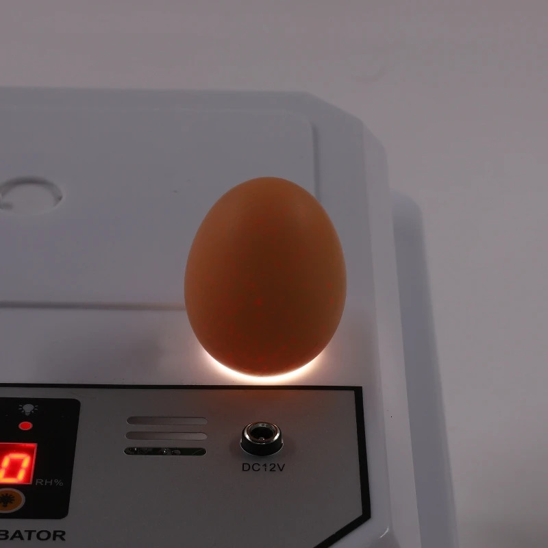 16 Eggs Incubator Dual Electric Egg Turning Farm Poultry Fully Automatic Mini Household Brooder For Chicken Goose Duck Bird 250613