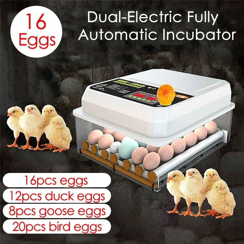 Farm Poultry Fully Automatic Turning Egg Incubator Dual-Electric Mini Household Brooder for Chicken Goose Duck Bird 16 Eggs 220V 250613