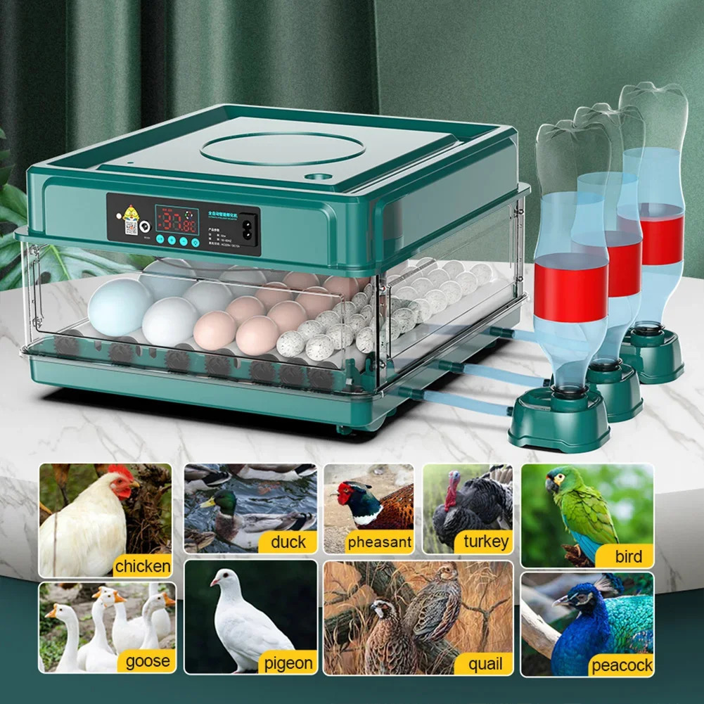 1Pc Farm Bird Quail Chicken Poultry Egg Incubator Fully Automatic Turning Hatching Brooder Farm Hatcher Turner Incubation Tool 250613