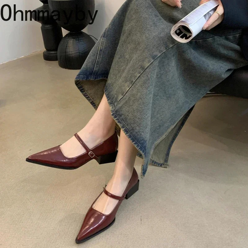 Retro Style Thick Heel Women Mary Jane Shoes Fashion Shallow Pointed Toe Ladies Comfort Office Pumps Footwear 250703
