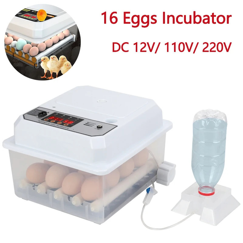 16 Eggs Incubator Dual Electric Egg Turning Farm Poultry Fully Automatic Mini Household Brooder For Chicken Goose Duck Bird 250613