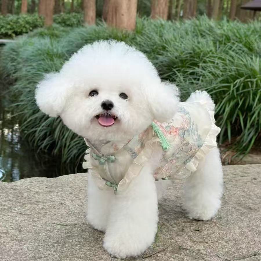 T466Pet dog spring and summer new Chinese cheongsam sleeveless buttoned satin national style skirt western style pony teddy