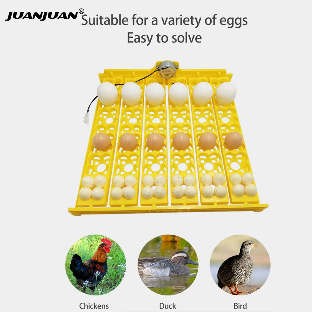 24 Eggs Tray Incubator Turner Automatically Egg Plates Turn Eggs Poultry Incubation Equipment for Chicks Ducks Bird 250613