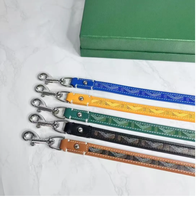 Designer dog collar set brand suitable for small and medium-sized large dog and cat pet collars and pet chains