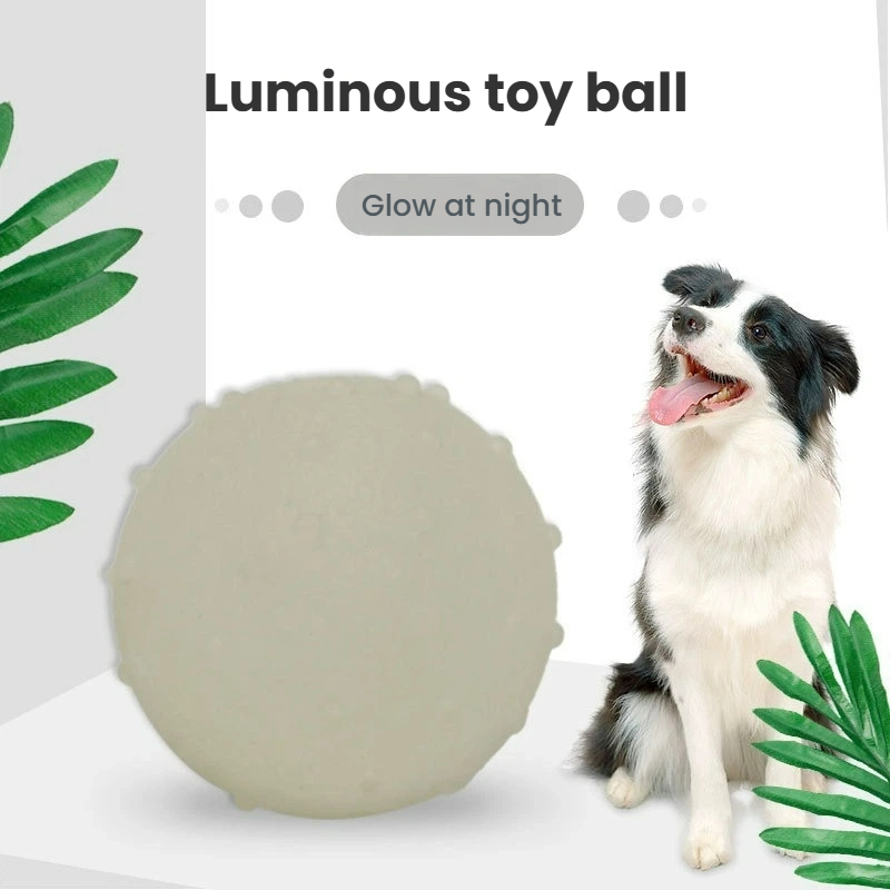 Night Light Pet Ball - Durable & Elastic TPR Floating Luminous Ball for Dogs