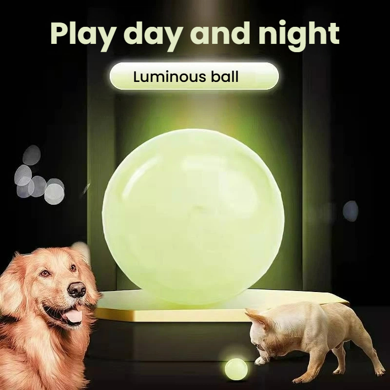 Interactive Glow-in-the-Dark Dog Ball - Medium & Small Sizes Available
