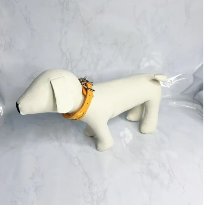 Designer dog collar set brand suitable for small and medium-sized large dog and cat pet collars and pet chains