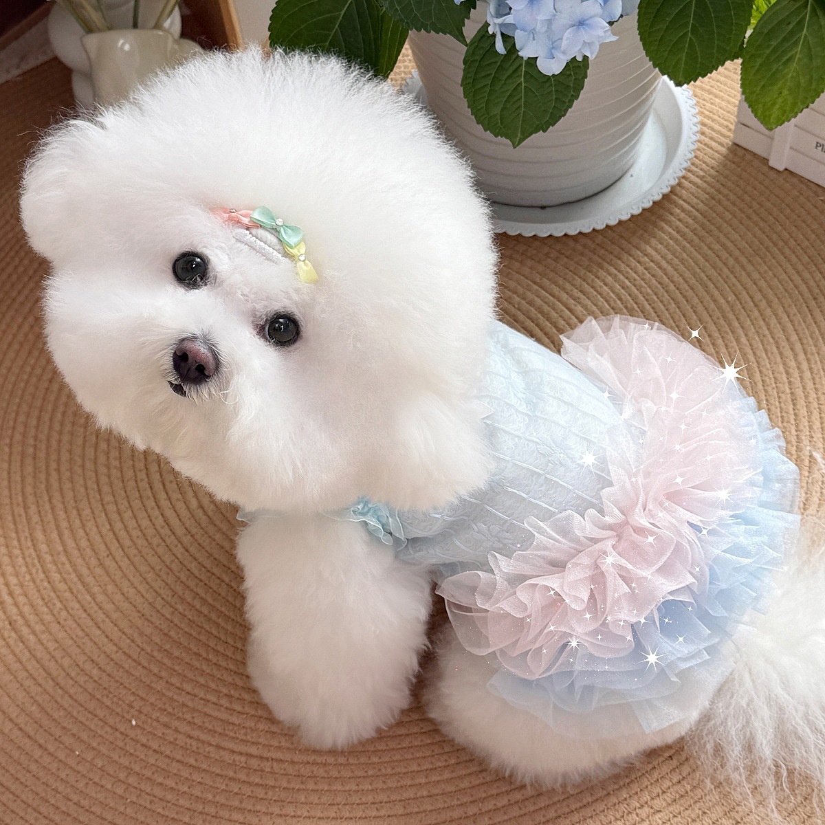 Gradient Gauze Lace Dog Dresses for Small Dogs Girl with D-Ring, Luxury Dog Party Dress with Multi-Layer Princess Tutu Skirt, Summer Embroidered Puppy