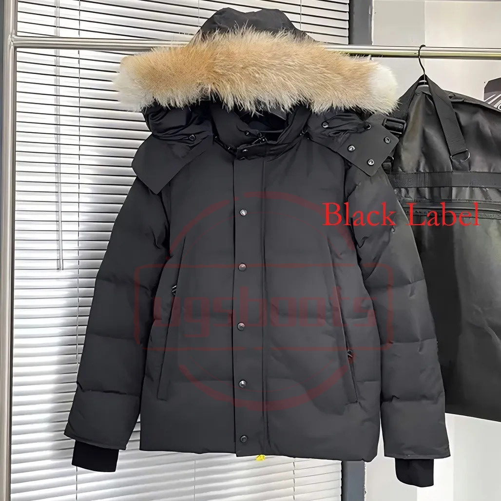 Men Winter Jacket W… - image