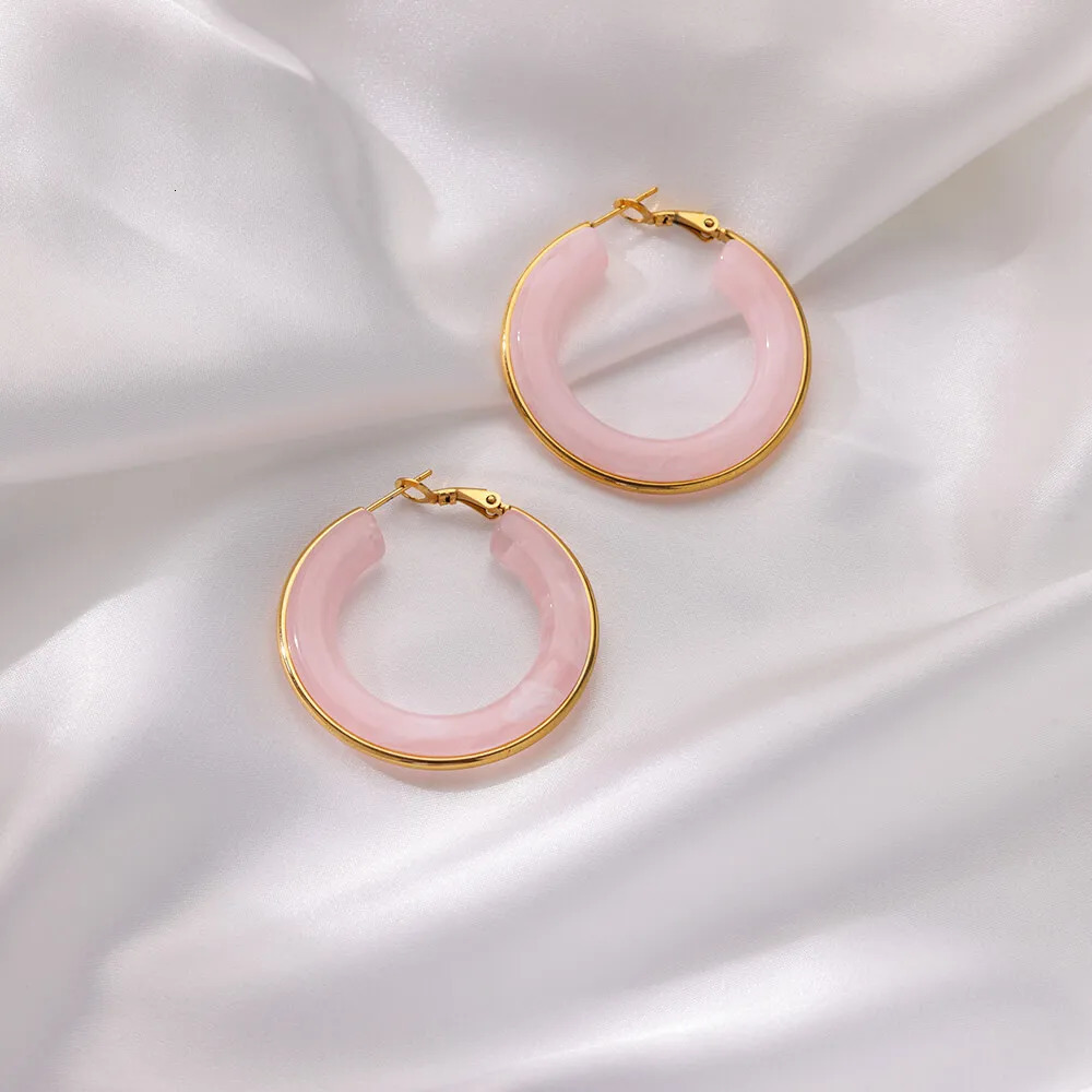 Colored Acrylic Hoop Earrings for Women Aesthetic Stainless Steel Earrings Trend in Vacation Style Piercing Ear Jewelry 250610