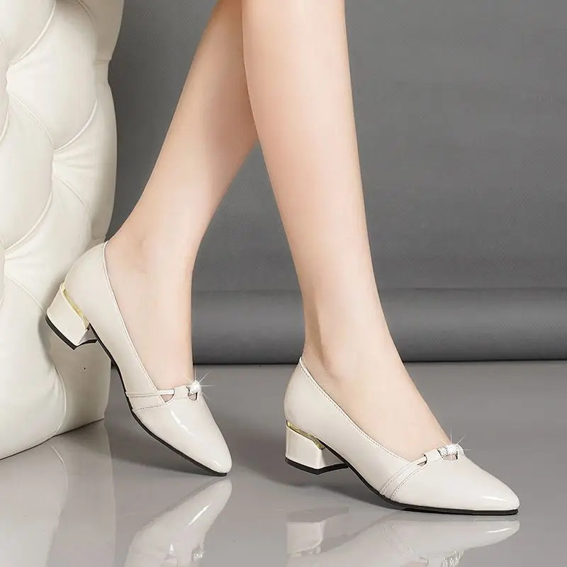 Pointed Toe With Medium Heels Womens Shoes Spring and Autumn Ladies Pumps High Quality Chic Elegant 2025 Trend 39 Shoe On Sale 250614