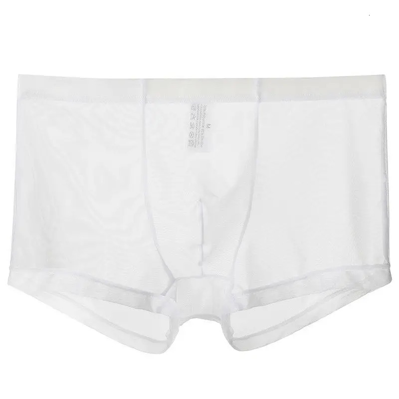 Sexy Lace Underpants Summer Thin Mesh Breathable Seamless Mens Panties Transparent Ice Silk Briefs Middle Waist Boxers 250614