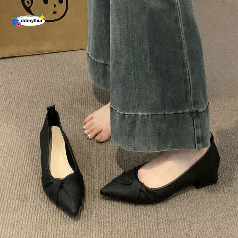 French Style Evening Wind Pointed Toe Single for Women Versatile Shallow Mouth Chunky Heel 2025 Spring Summer New Model Dress Shoes Elegant Loafers dd