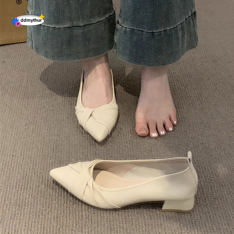 French Style Evening Wind Pointed Toe Single for Women Versatile Shallow Mouth Chunky Heel 2025 Spring Summer New Model Dress Shoes Elegant Loafers dd