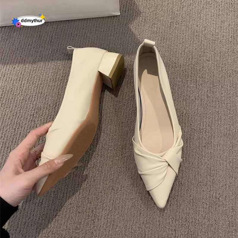 French Style Evening Wind Pointed Toe Single for Women Versatile Shallow Mouth Chunky Heel 2025 Spring Summer New Model Dress Shoes Elegant Loafers dd