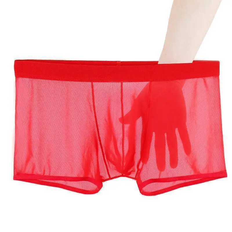 Sexy Lace Underpants Summer Thin Mesh Breathable Seamless Mens Panties Transparent Ice Silk Briefs Middle Waist Boxers 250614