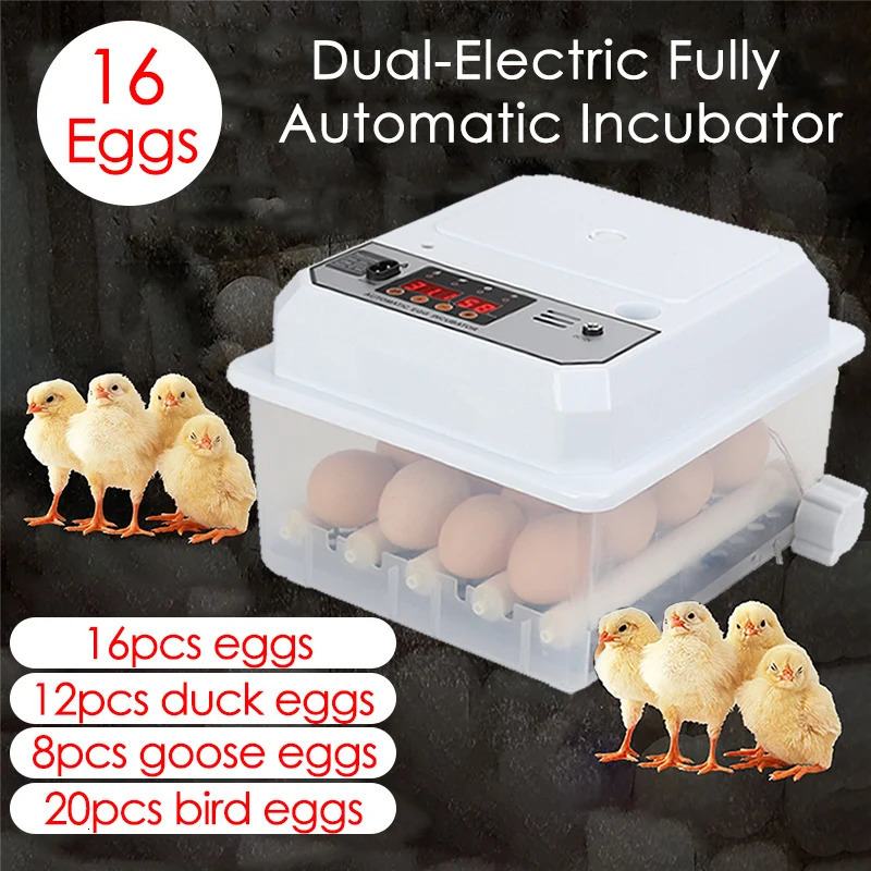 16 Eggs Farm Poultry Fully Automatic Turning Egg Incubator Dual-Electric Mini Household Brooder for Chicken Goose Duck Birds 250613
