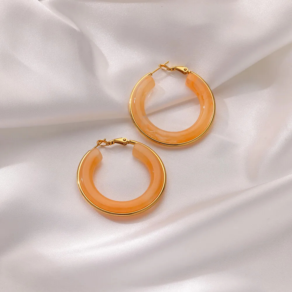Colored Acrylic Hoop Earrings for Women Aesthetic Stainless Steel Earrings Trend in Vacation Style Piercing Ear Jewelry 250610