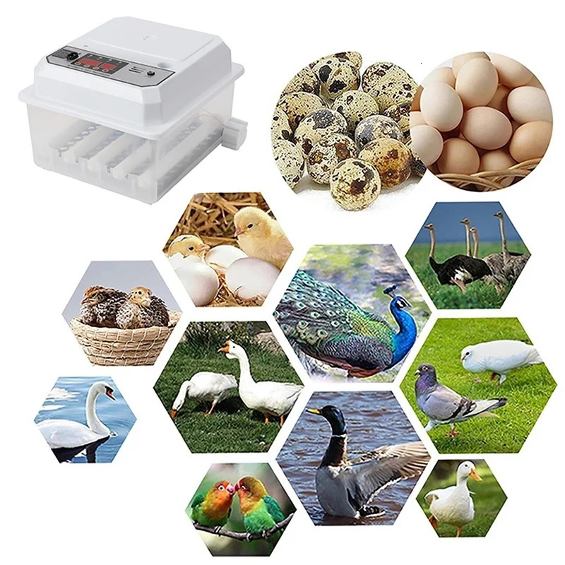 16 Eggs Farm Poultry Fully Automatic Turning Egg Incubator Dual-Electric Mini Household Brooder for Chicken Goose Duck Birds 250613