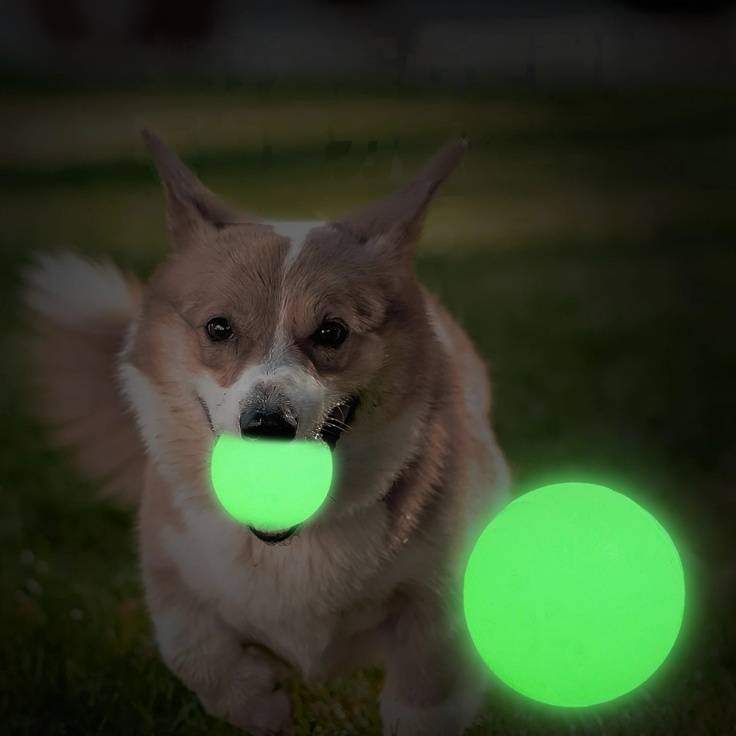Nighttime Interactive Puppy Game Tool Long-lasting Fluorescent Balls Made from Harmless Plastic