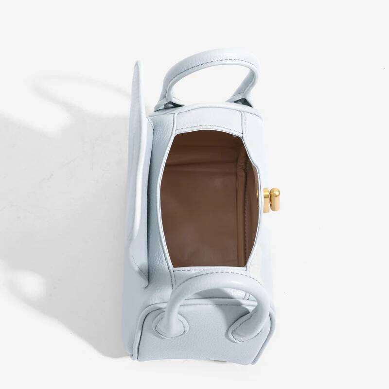 Women's Bags Designer Classic Mini Pillow Bags For Women Designer Handbags Purses New In PU Lychee Pattern Top Handle Wide Strap Shoulder