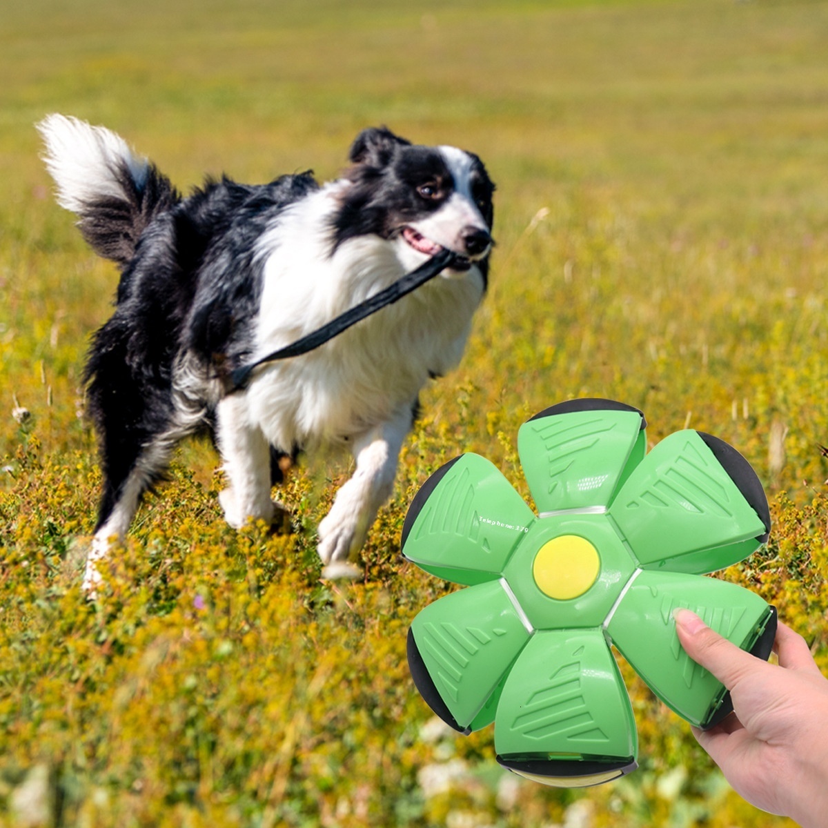 Pet Durable Chew-Resistant Teeth-Grinding Toy Self-Entertainment Boredom Relief Teasing Dog Stepping Ball