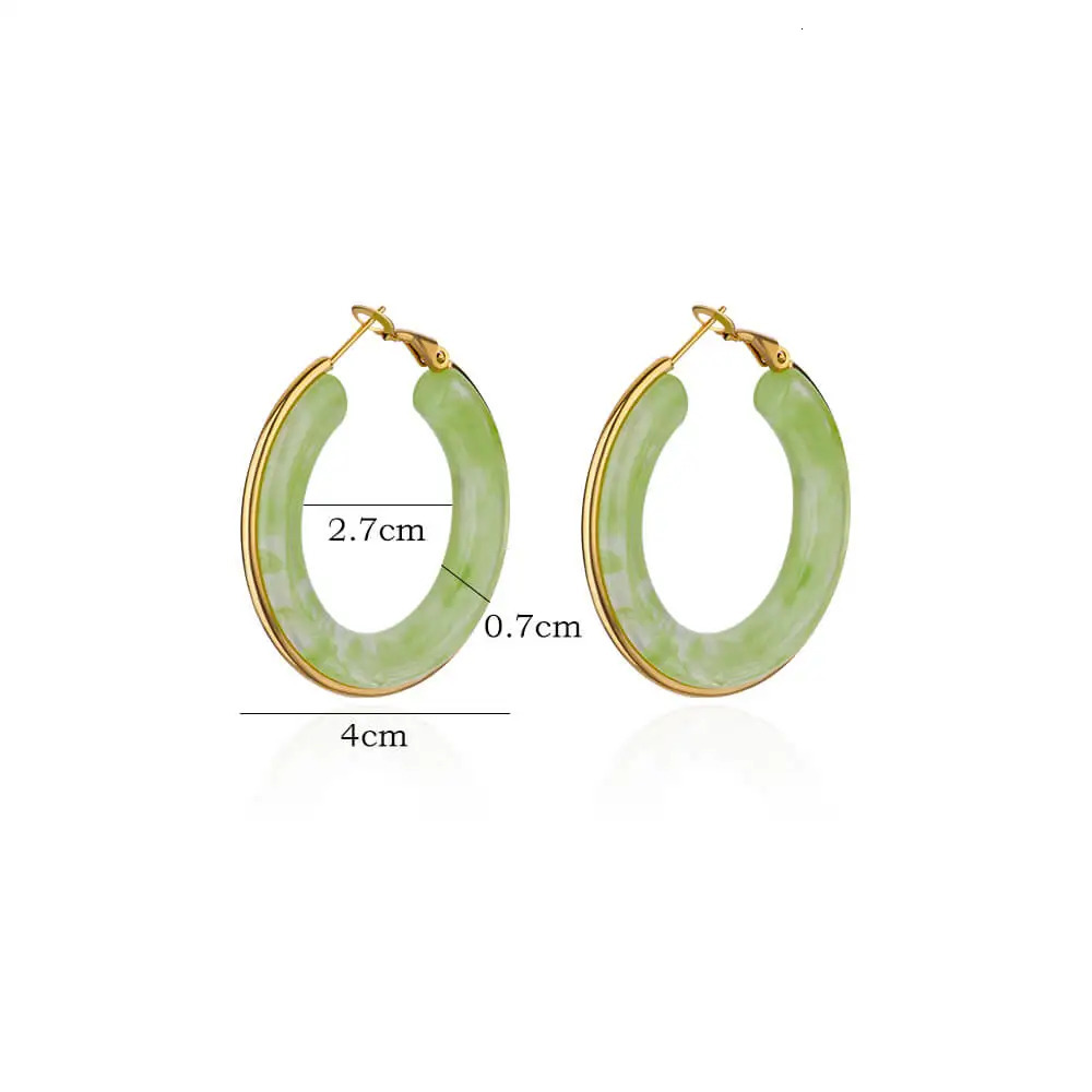 Colored Acrylic Hoop Earrings for Women Aesthetic Stainless Steel Earrings Trend in Vacation Style Piercing Ear Jewelry 250610