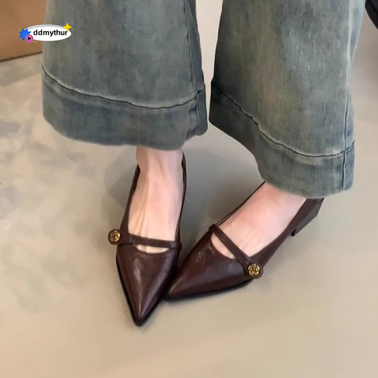 Pointed Toe Commuter Shallow Mouth Single for Women 2025 Spring and Autumn French Style Evening Chunky Heel Fashion Mary Jane Small Leather Shoes ddmy