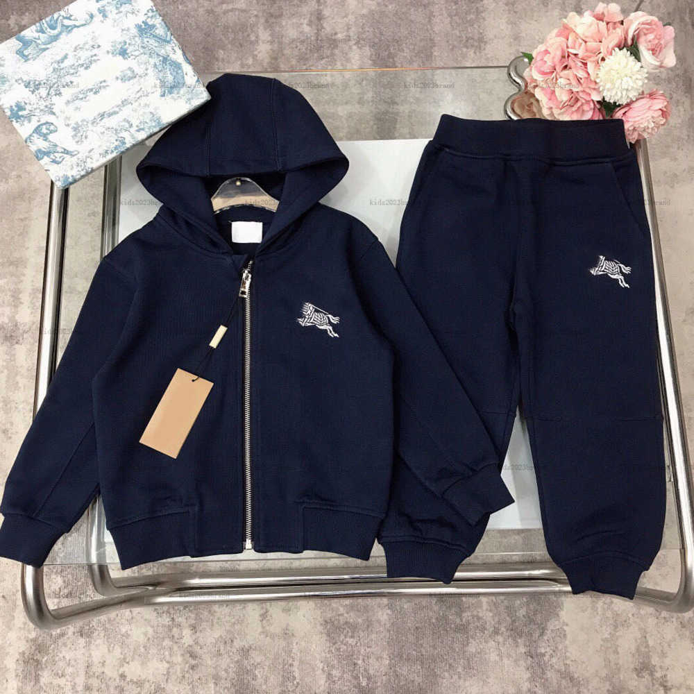 New baby Jacket set Autumn boys girls coat suits Various styles Tracksuits Kids designer Clothes Doll bear Print jacket and pants A954X26N211