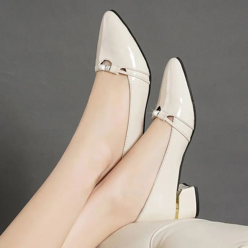 Pointed Toe With Medium Heels Womens Shoes Spring and Autumn Ladies Pumps High Quality Chic Elegant 2025 Trend 39 Shoe On Sale 250614