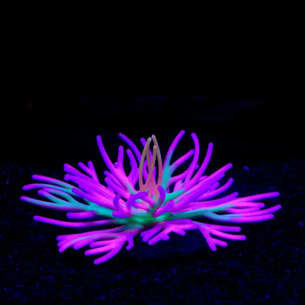 Aquarium Scenery Sea Water Tank Fish Tank Decoration Silicone Simulation Sea Anemone Green blue pink 250613