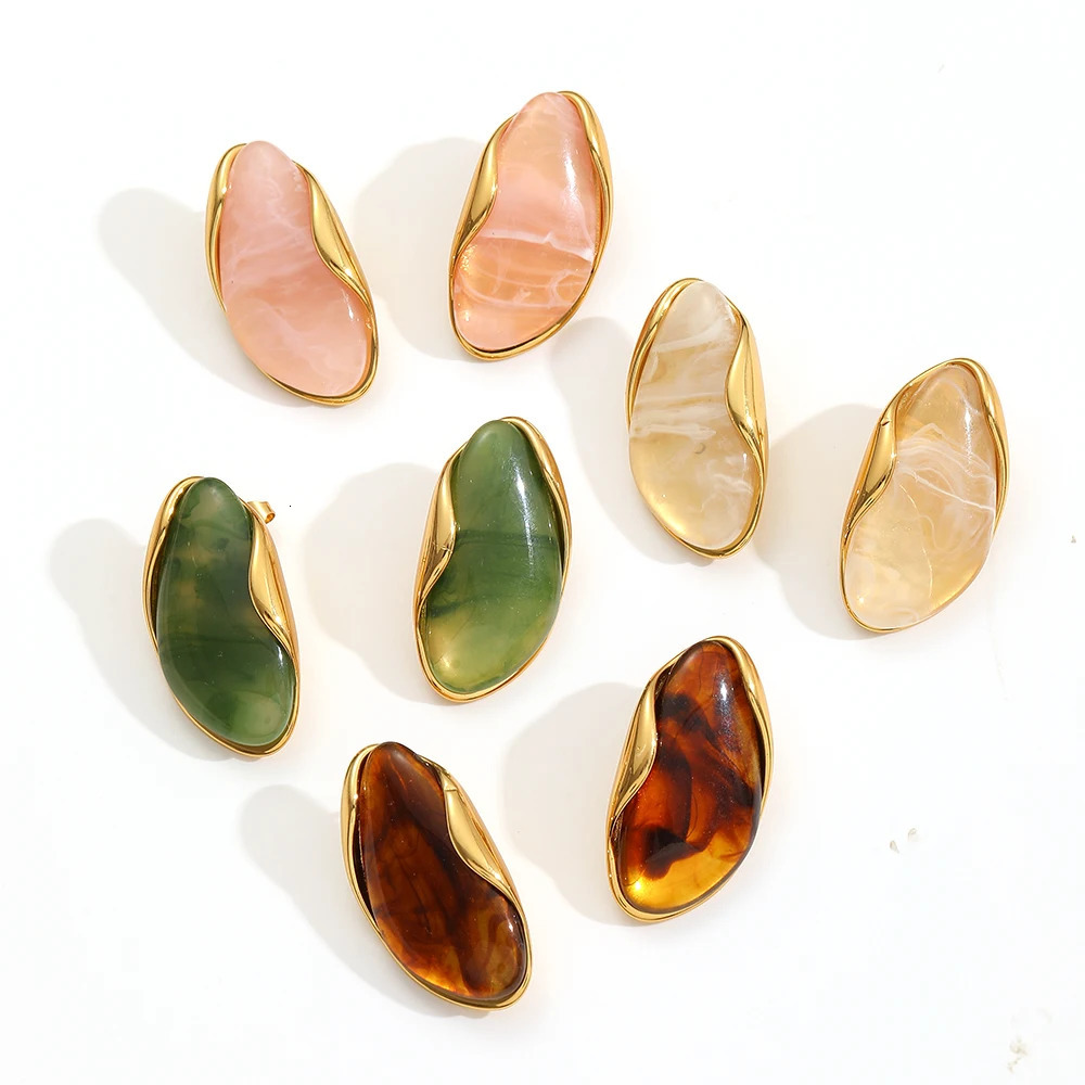 Brown Resin Geometric Shape Earrings Stainless Steel 18k Gold-plated Ear Studs for Women 250610