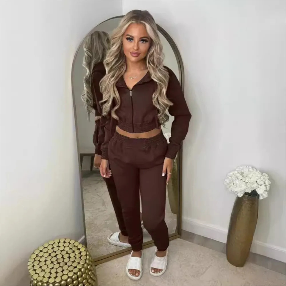 Fleece Hooded Sweatshirt Short Hooded Womens Suit Autumn Winter Casual Zipper Hoodie Sports Jogging Pants Female 2piece Set 250614