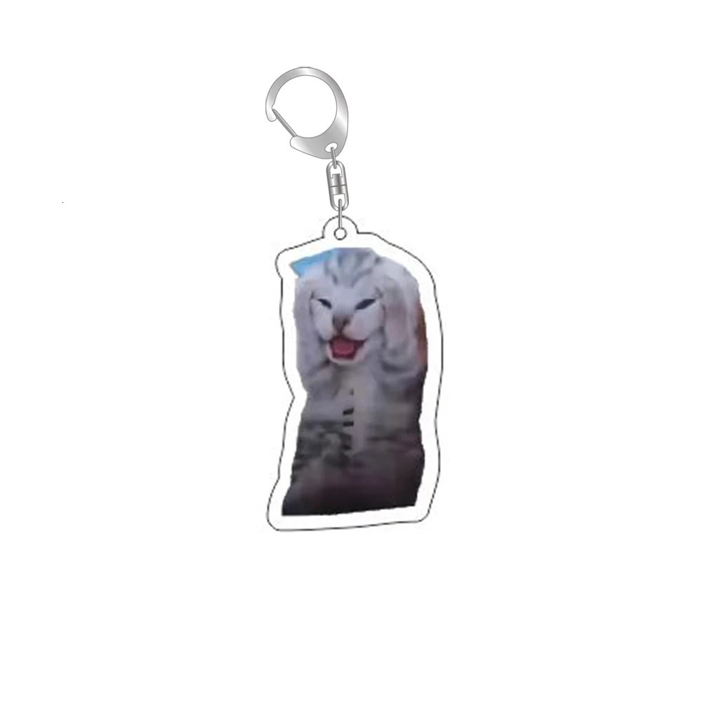 Funny Cat Memes Series Keychain Student Gift Bag Lanyard Womens Pendant Cute Things For Friends 250606