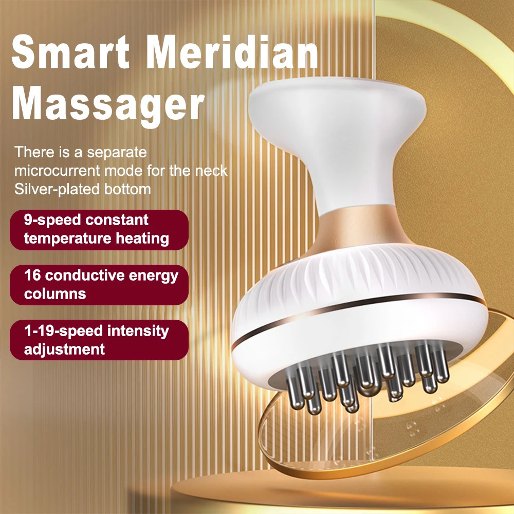 Electric Meridian Brush Gua Sha Body Massager EMS Microcurrent Compress Scraping Lymphatic Drainage Machine Fat 250610
