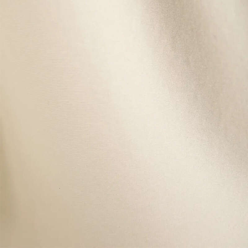 Dress Designer Designer Dresses for Women Maxi Dress for Women N818 Solid Color Satin Elastic Waist A-line Mulberry Silk Petite Short Skirt