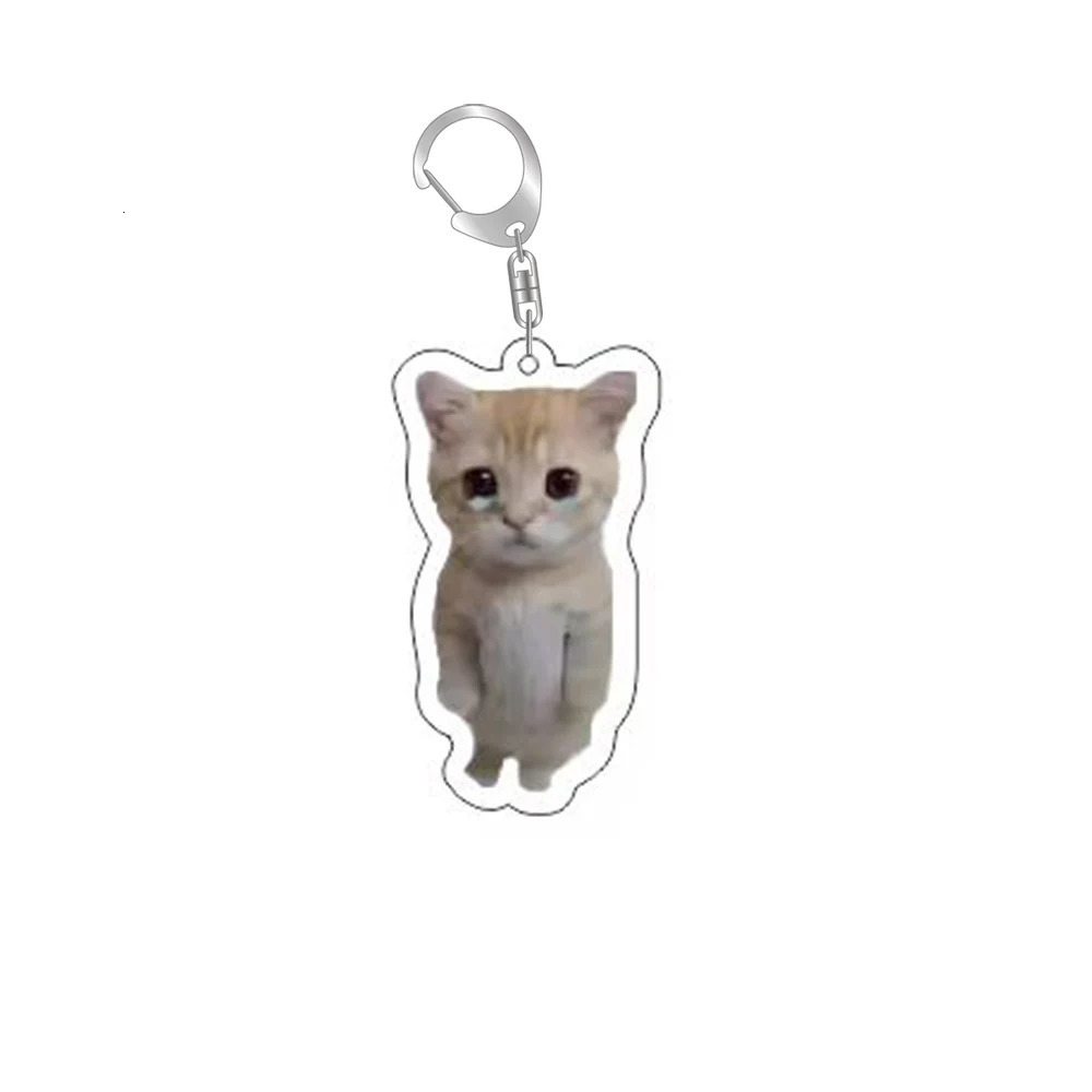 Funny Cat Memes Series Keychain Student Gift Bag Lanyard Womens Pendant Cute Things For Friends 250606