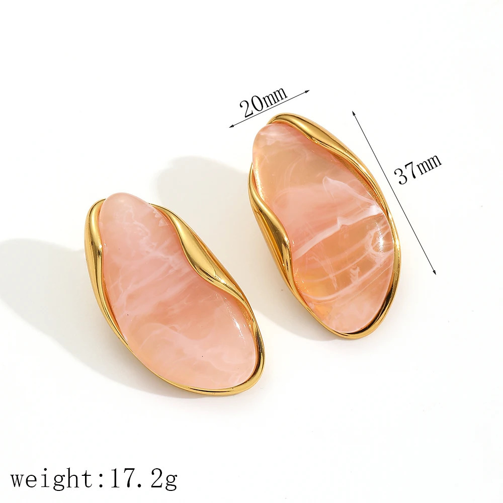 Brown Resin Geometric Shape Earrings Stainless Steel 18k Gold-plated Ear Studs for Women 250610