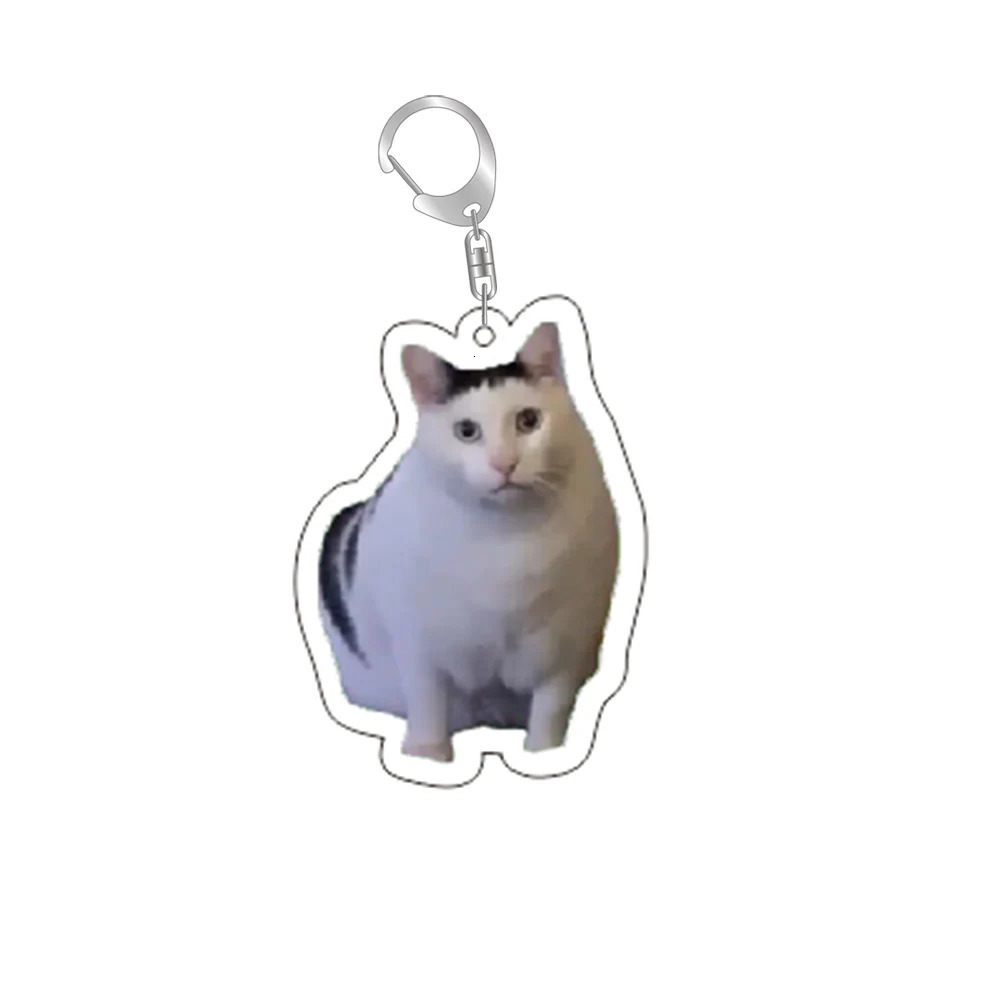 Funny Cat Memes Series Keychain Student Gift Bag Lanyard Womens Pendant Cute Things For Friends 250606