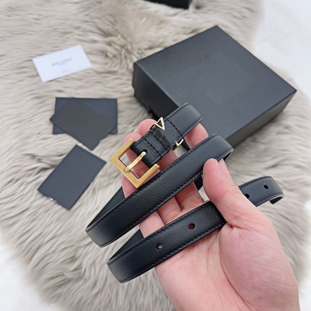 Women's Luxury Designer Belt with Gold Silver Buckles Genuine Leather 3cm Wide Fashion Waistband with box gift high quality belt Leather belt AAA08