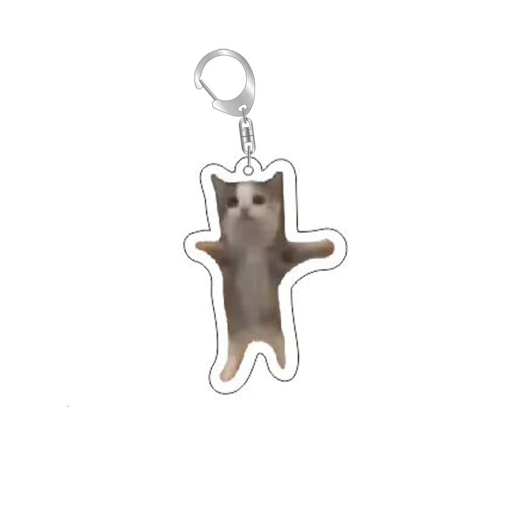 Funny Cat Memes Series Keychain Student Gift Bag Lanyard Womens Pendant Cute Things For Friends 250606