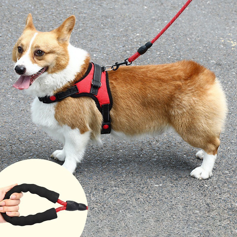 Supplies Harness Large Pet Vest Collar Dog Walking Leash