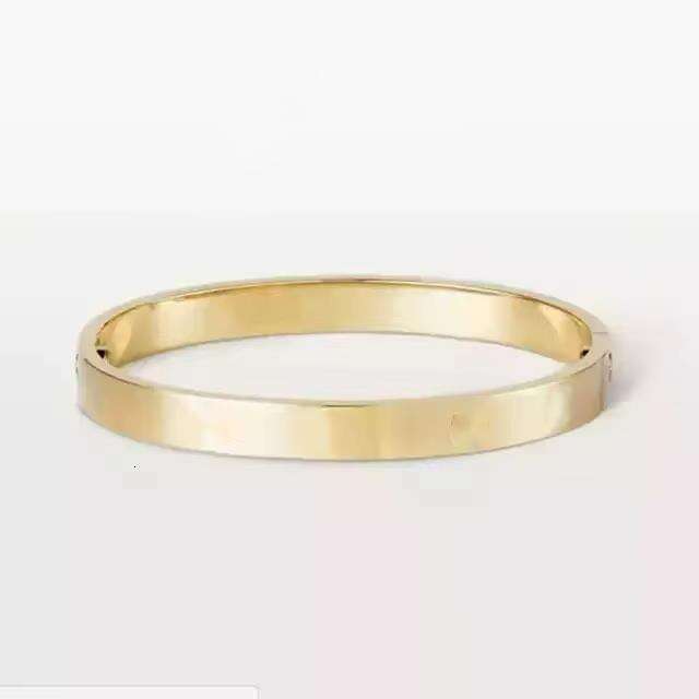 Designer Bracelet Fashion Jewelry Bangle Bracelets Rise Gold Sier Titanium Steel Dia bangles Armband for Men Women with box