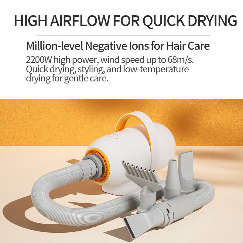 Chaolun pet hair dryer cat bath blowing and suction multifunctional water blower large dog drying pet