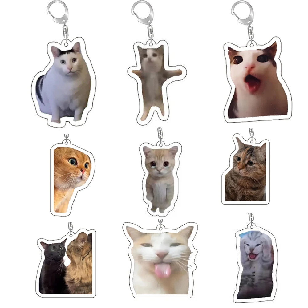 Funny Cat Memes Series Keychain Student Gift Bag Lanyard Womens Pendant Cute Things For Friends 250606