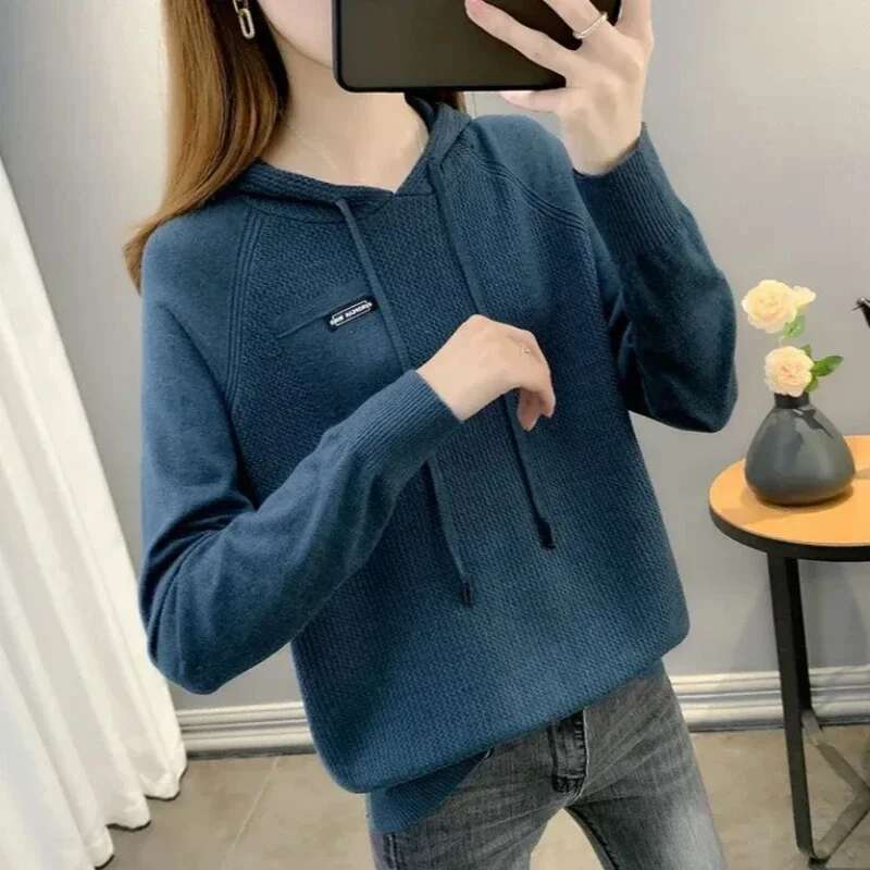 Hooded Sweatshirt for Women Korean Baggy Loose Woman Tops Plain Casual Outerwears Kpop Matching Basic Clothing New In M Hoodies