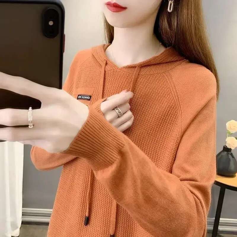 Hooded Sweatshirt for Women Korean Baggy Loose Woman Tops Plain Casual Outerwears Kpop Matching Basic Clothing New In M Hoodies