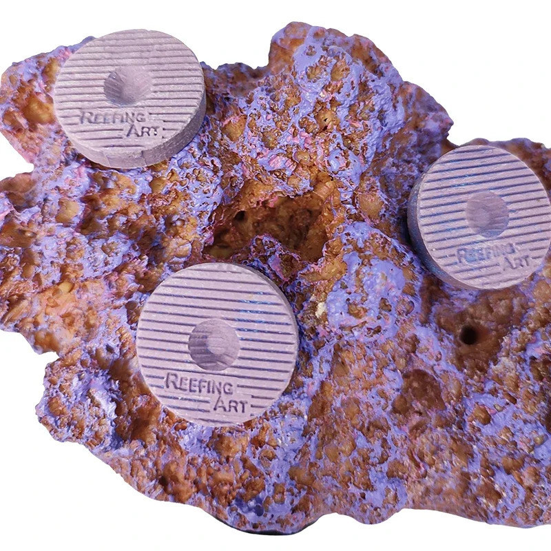 Reefing Art Aquarium Marine Fish Tank Magnetic Real Reef Frag Rack 250613