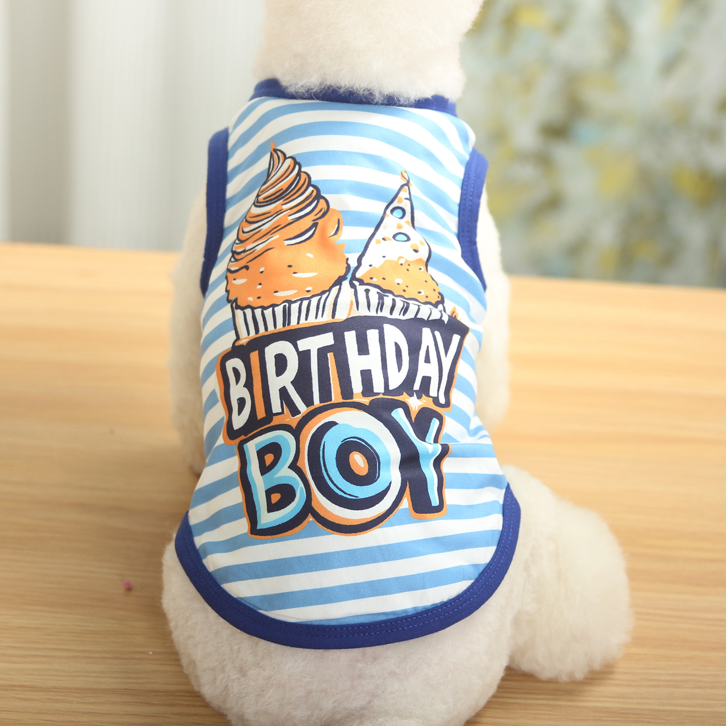 Dog Birthday Gift Clothes Girl Boy Birthday Print T-Shirt for Small Medium Dog Birthday Party Vest, Doggy Boy Girl Happy Birthday XS A571